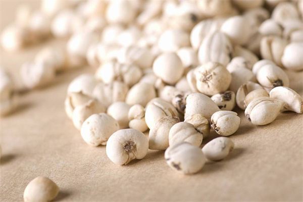 綠生藥業 專注天然養身，科技賦能保健食品新未來